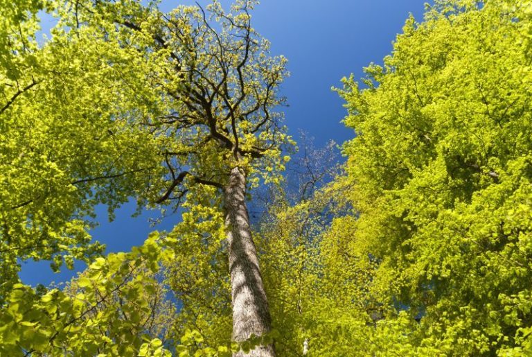 Tipps zum Valentinstag